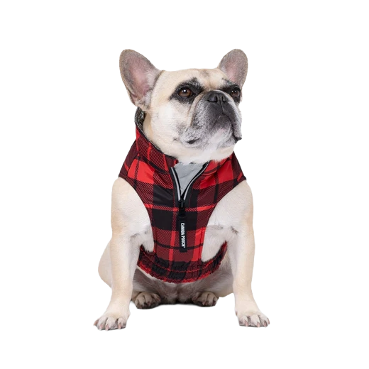 Canada Pooch Expedition Coat 2.0, Red Plaid, Size 28