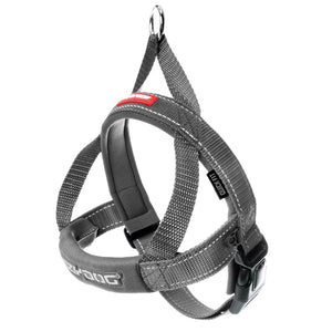 EzyDog Quick Fit Harness