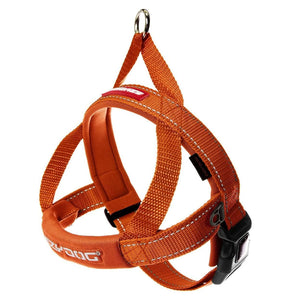 EzyDog Quick Fit Harness