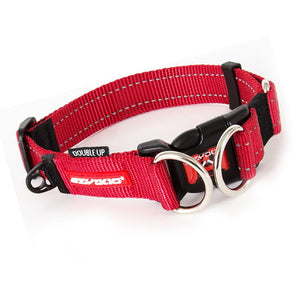 EzyDog Double Up Collar