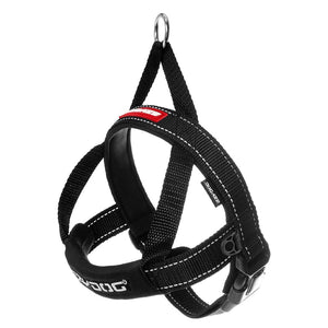 EzyDog Quick Fit Harness