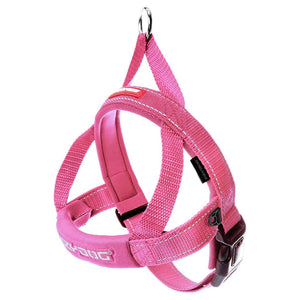 EzyDog Quick Fit Harness