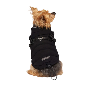 Canada Pooch Harness Puffer, Black, Size 18