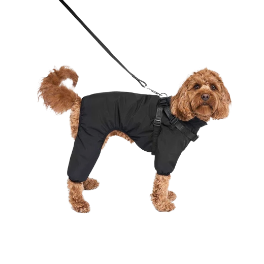 Canada Pooch Harness Snowsuit, Black, Size 28