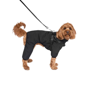 Canada Pooch Harness Snowsuit, Black, Size 28