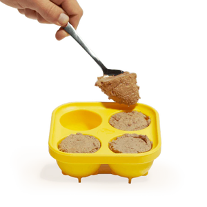 Woof Dog Pupsicle Treat Tray, XL