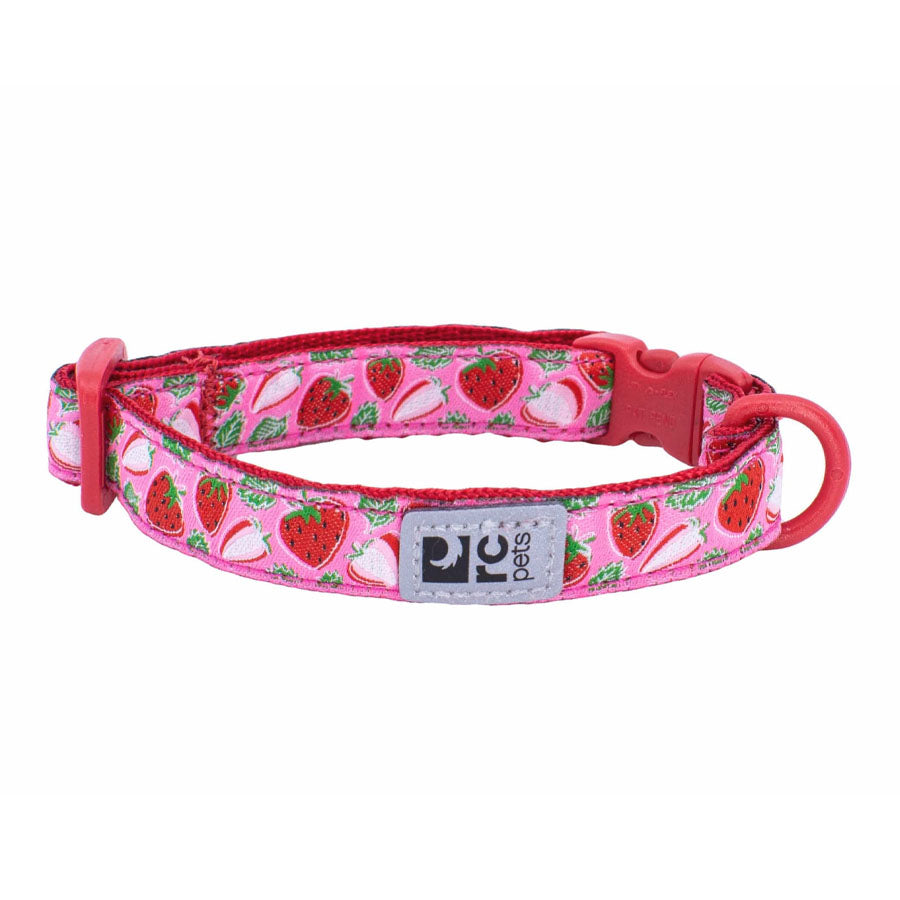 RC Pet Kitty Breakaway Collar
