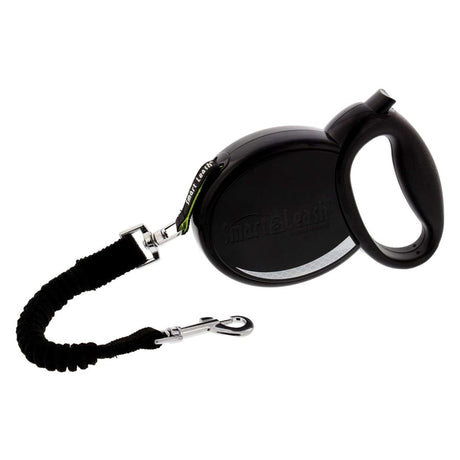 Smart Leash