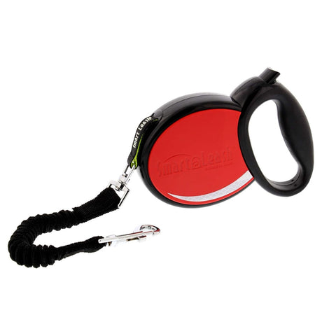 Smart Leash