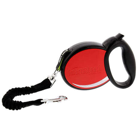 Smart Leash
