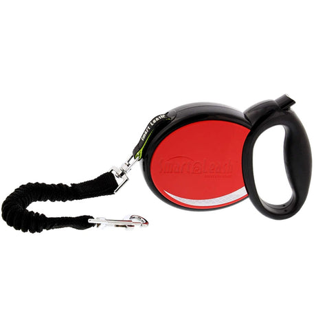 Smart Leash