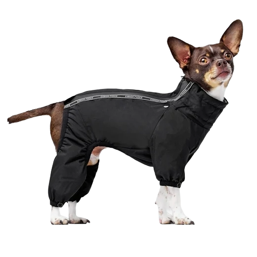 Canada Pooch Snowsuit, Black, Size 32