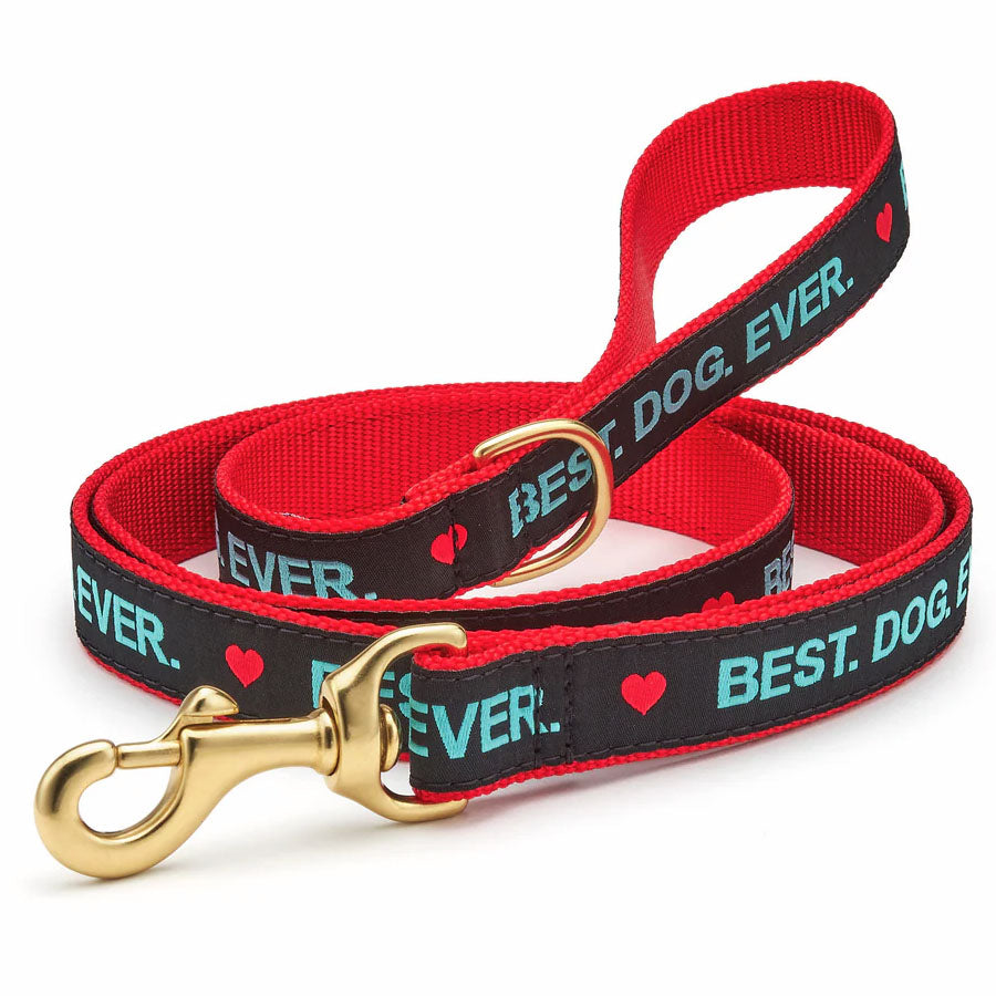 Up Country Narrow Best Dog Ever Lead W/D-Ring, 5ft