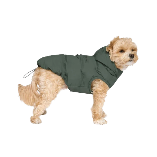 Canada Pooch The Waterproof Puffer, Forest Green, Size 10