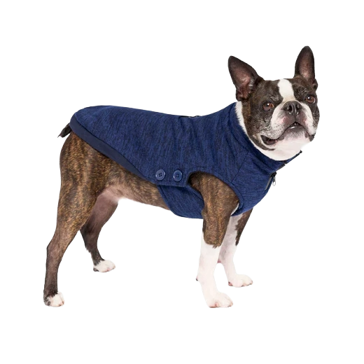 Canada Pooch Waterproof Sweater, Blue, Size 26