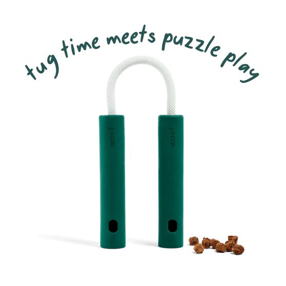 Woof Forager Nomchuck Toy