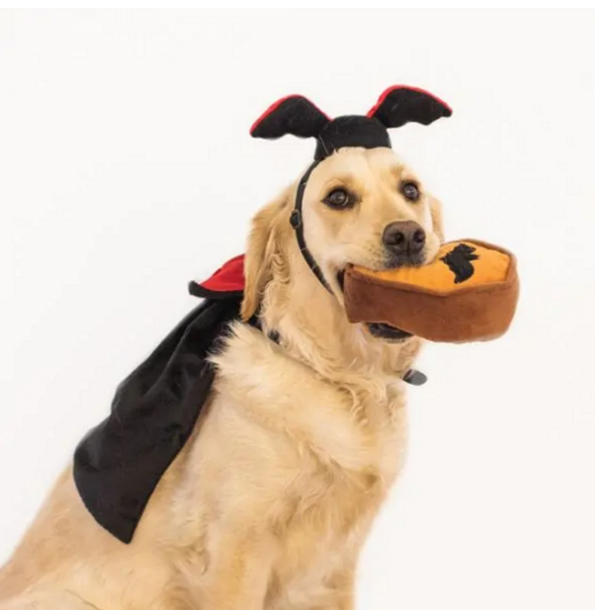 ZippyPaws Halloween Costume Kit, Dracula