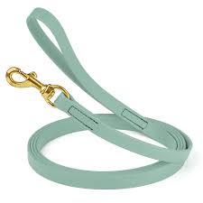 Pro-Mohs BioThane Snap Leash 5/8"X6', Mint