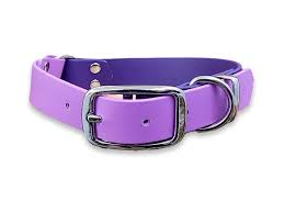 Pro-Mohs BioThane Thin Buckle Collar 3/4"X11-16", Amethyst