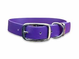 Pro-Mohs BioThane Thin Buckle Collar 3/8"X8-12", Purple
