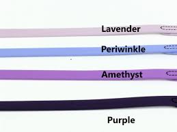 Pro-Mohs BioThane 1/2"X10' Long Line, Purple