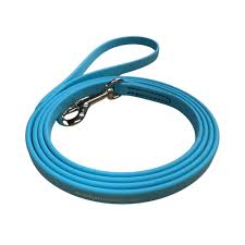 Pro-Mohs BioThane Snap Leash 3/8"X6', Blue