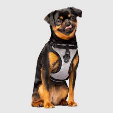 Canada Pooch Everything Harness, Reflective Mesh, L