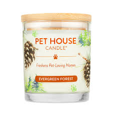 Pet House Evergreen Forest Candle, 9oz