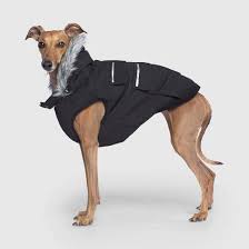 Canada Pooch Everest Explorer Jacket, Black, Size 26