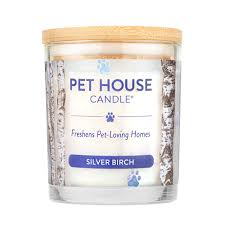 Pet House Silver Birch Candle, 9oz
