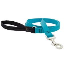 Mendota Pet Big Dog Walker Collar/Leash Blue, 1/2X6'