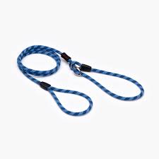 EzyDog Luca Leash, Blue