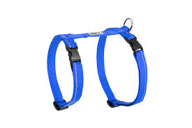 RC Pet Primary Kitty Harness, Royal Blue, S