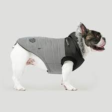Canada Pooch True North Parka, Reflective, Size 14+