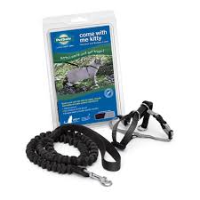 PetSafe Come With Me Kitty Harness and Bungee Leash Black, S