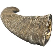 Goat Horn - Large