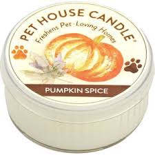 Pet House Pumpkin Spice Candle, 1.5oz