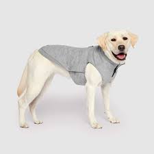 Canada Pooch Waterproof Sweater, Gray, Size 26