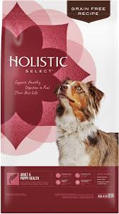 Holistic Select Anchovy & Sardine Adult Grain Free, 30lbs
