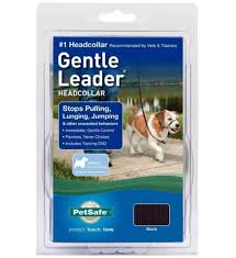 PetSafe Gentle Leader Head Collar Black, M