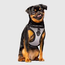 Canada Pooch Everything Harness, Reflective Mesh, M