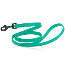 BioThane Teal Snap Leash, 5/8" x 6'