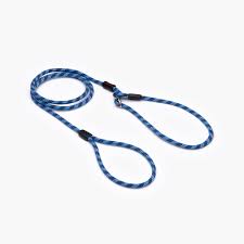 EzyDog Luca Leash, Lite Blue