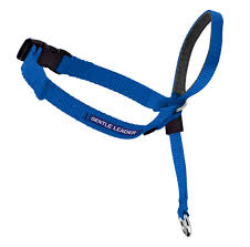 PetSafe Gentle Leader Head Collar Blue, M