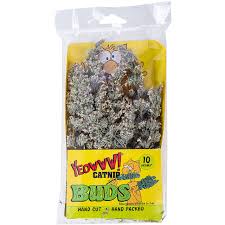 Yeowww! Catnip Buds