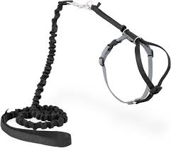 PetSafe Come with Me Kitty Harness & Bungee Leash, Black Silver, M