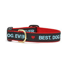 Up Country Best.Dog.Ever Collar Wide, L