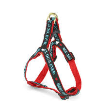 Up Country Best.Dog.Ever Dog Harness, XS