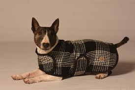 Chilly Dog Black&White Dog Blanket Coat, Small