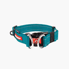 EzyDog Double Up Collar, Teal, L